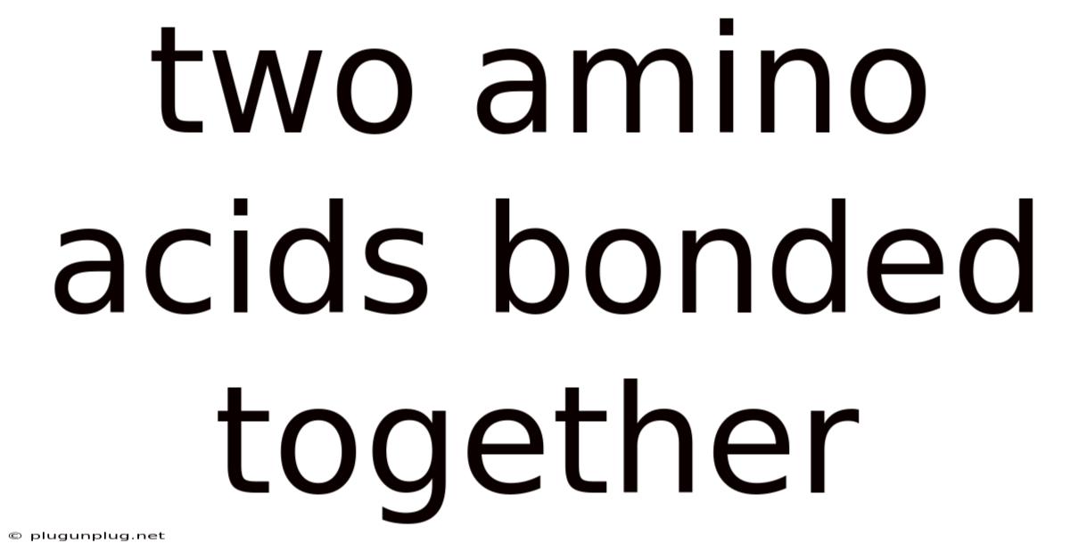 Two Amino Acids Bonded Together