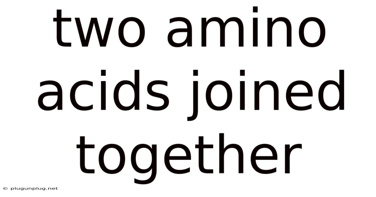 Two Amino Acids Joined Together