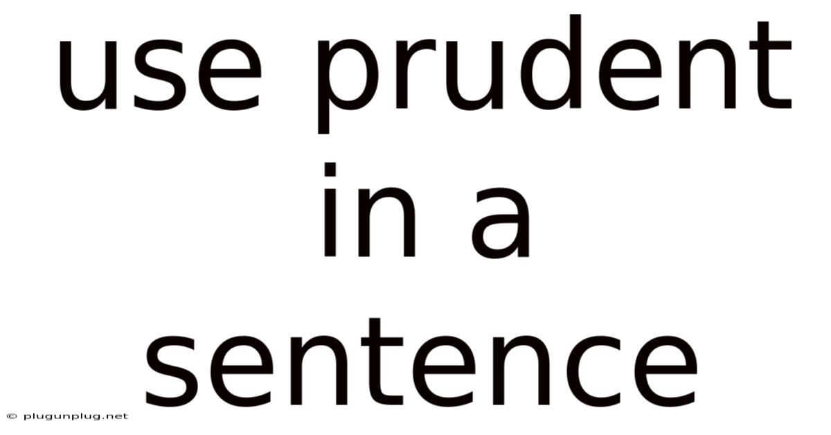 Use Prudent In A Sentence