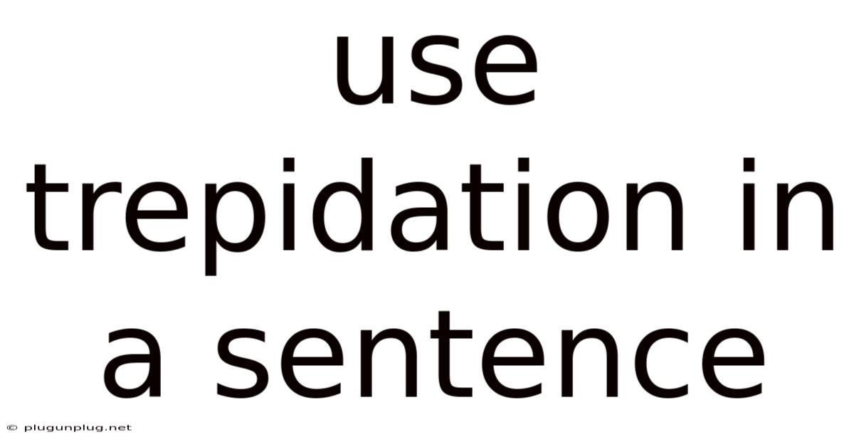 Use Trepidation In A Sentence