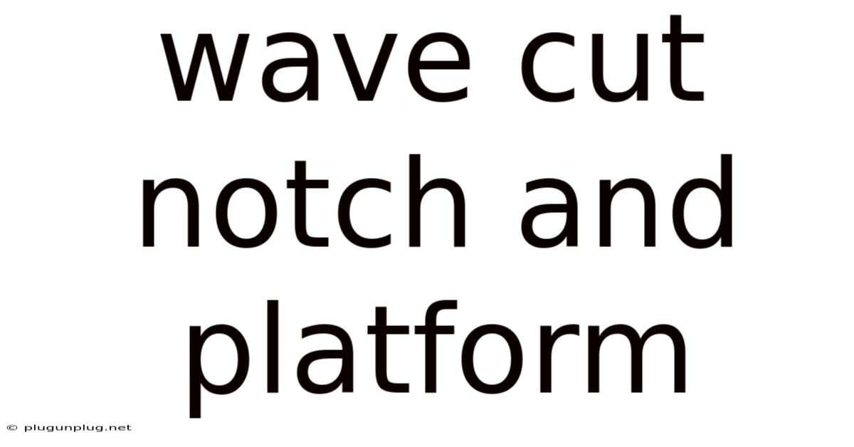 Wave Cut Notch And Platform