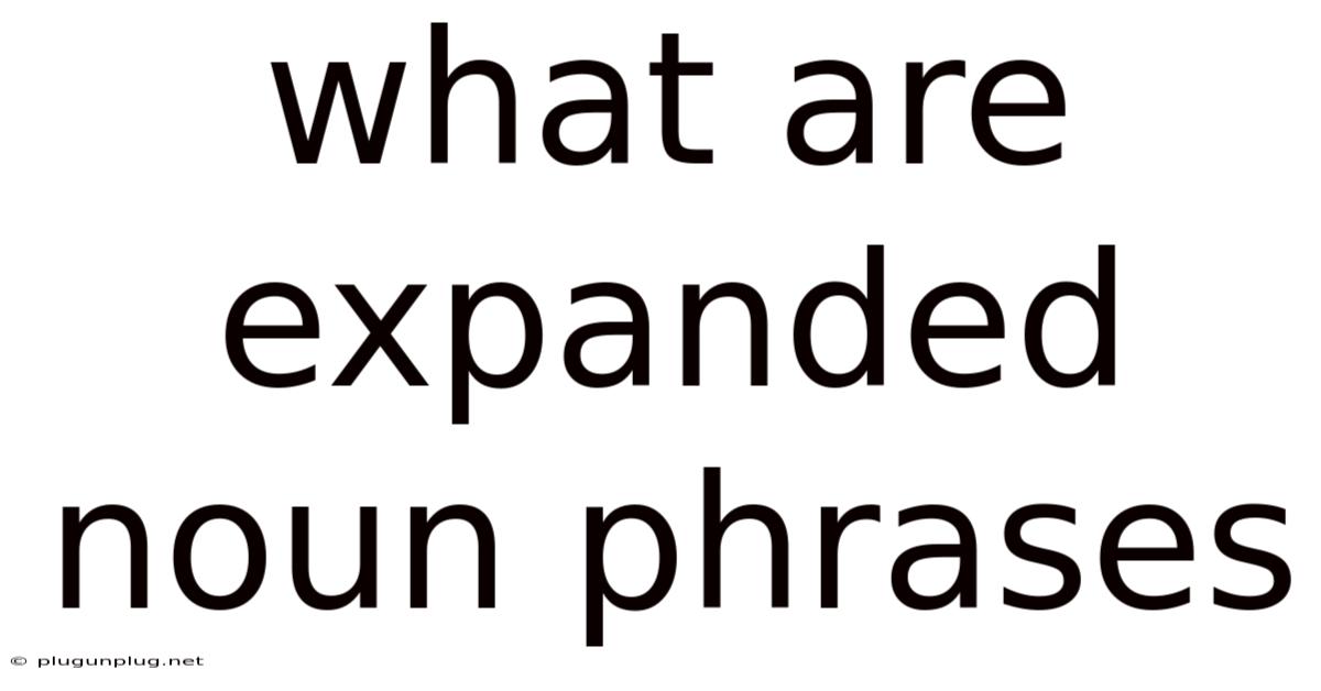 What Are Expanded Noun Phrases