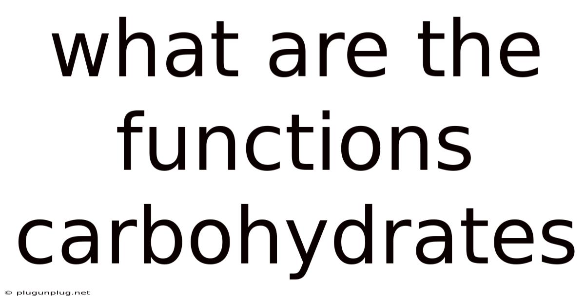 What Are The Functions Carbohydrates