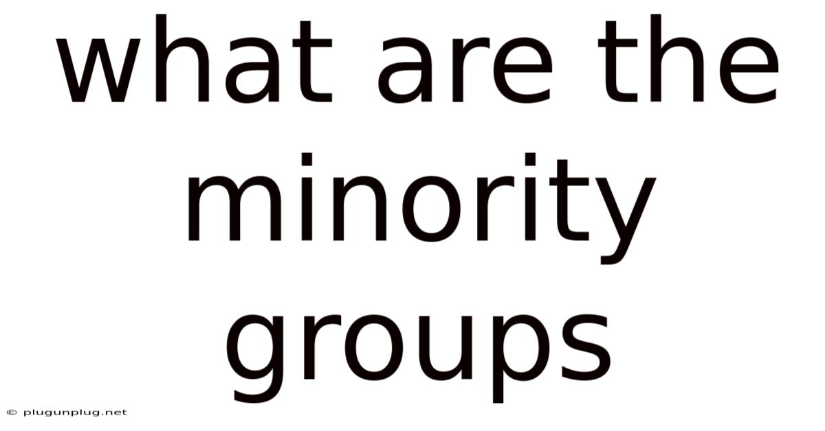 What Are The Minority Groups
