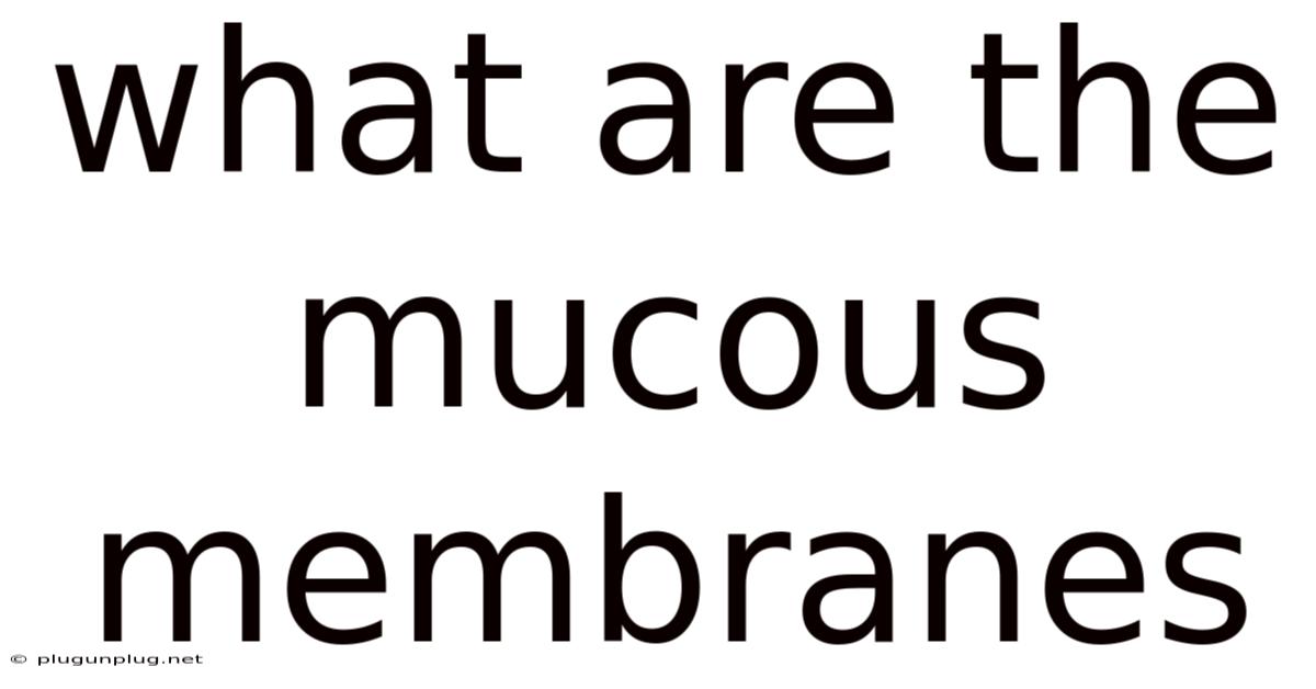 What Are The Mucous Membranes