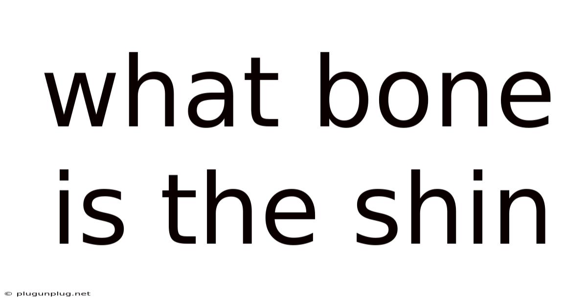 What Bone Is The Shin