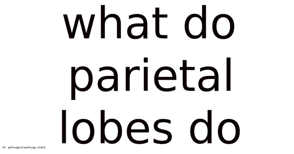 What Do Parietal Lobes Do