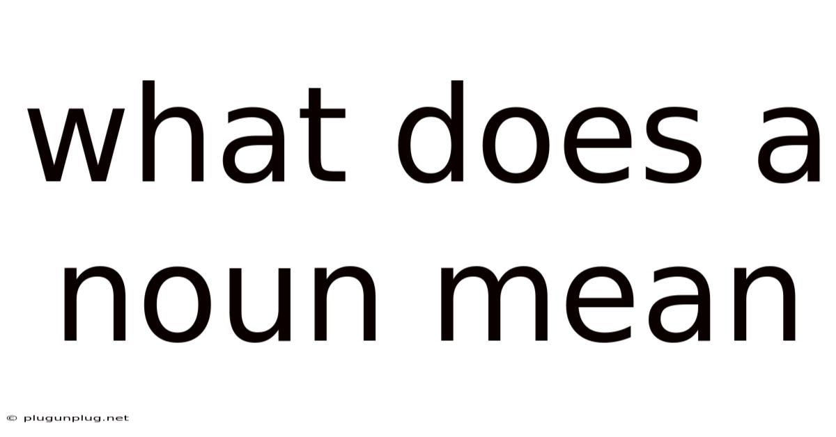 What Does A Noun Mean