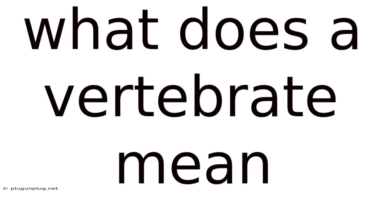 What Does A Vertebrate Mean