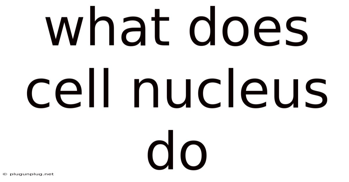 What Does Cell Nucleus Do