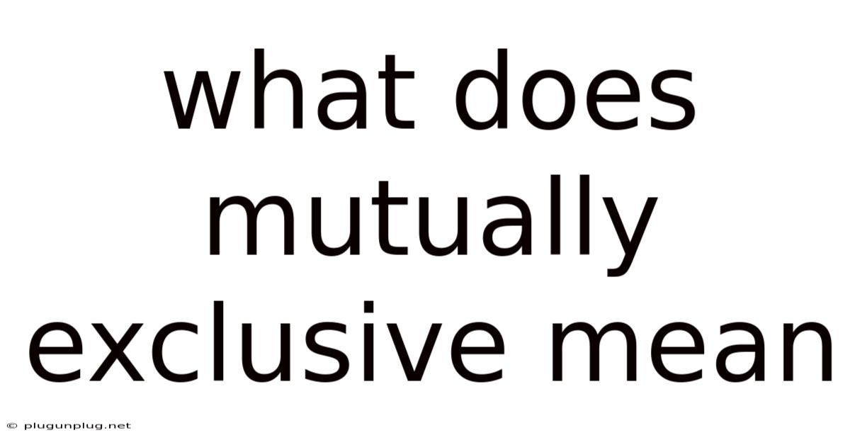 What Does Mutually Exclusive Mean
