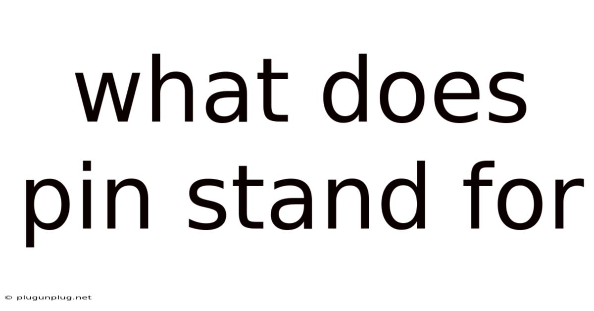 What Does Pin Stand For
