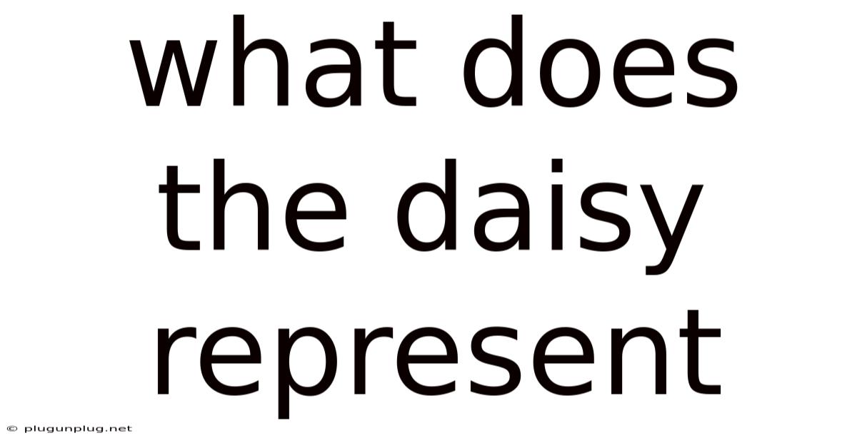 What Does The Daisy Represent