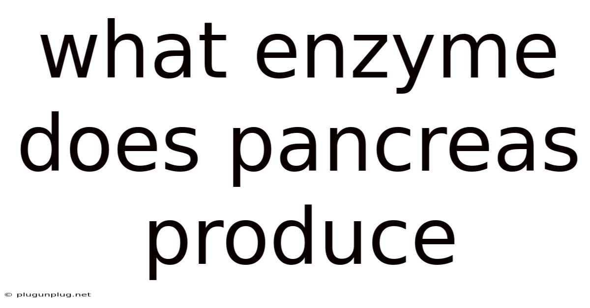 What Enzyme Does Pancreas Produce