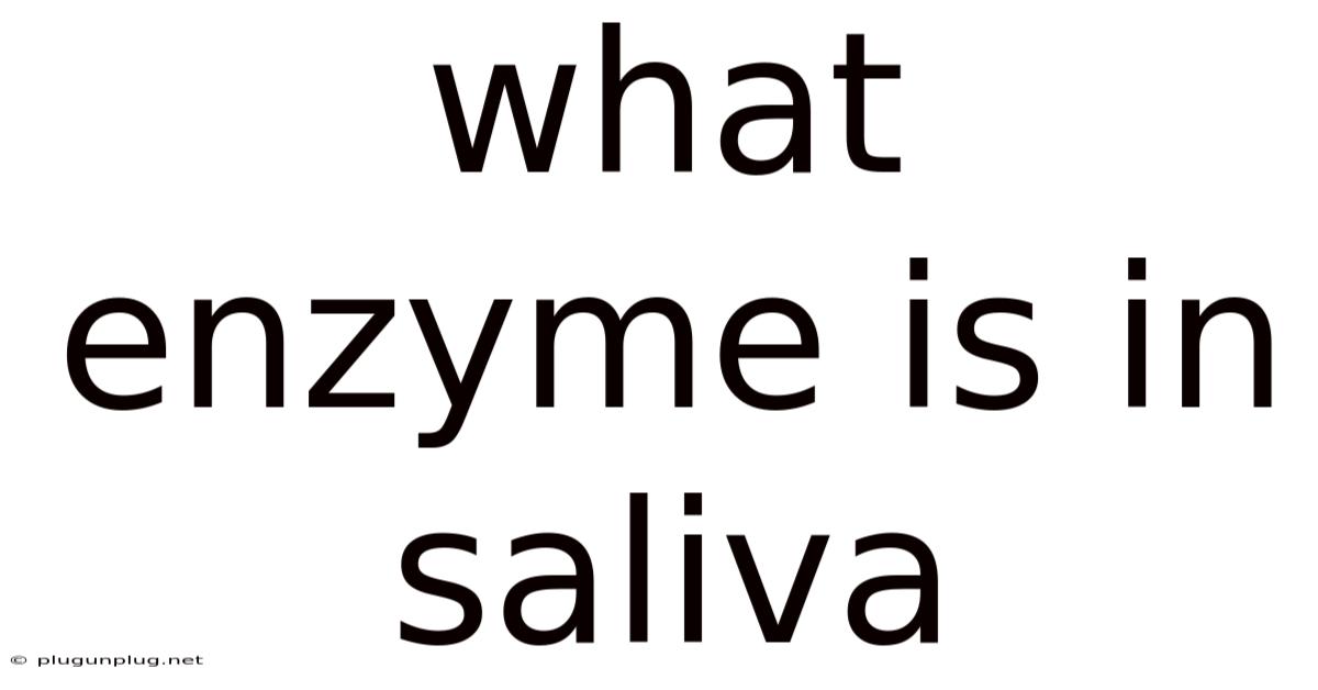 What Enzyme Is In Saliva