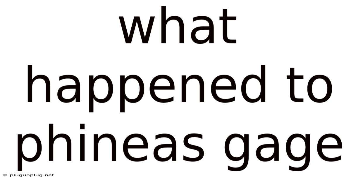 What Happened To Phineas Gage