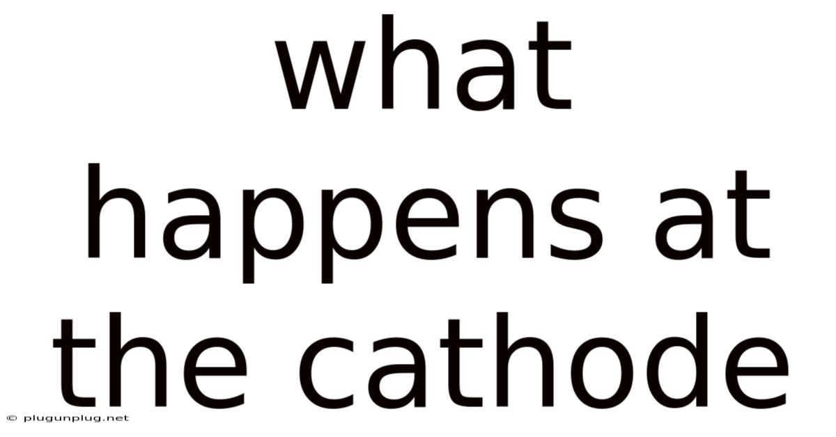 What Happens At The Cathode
