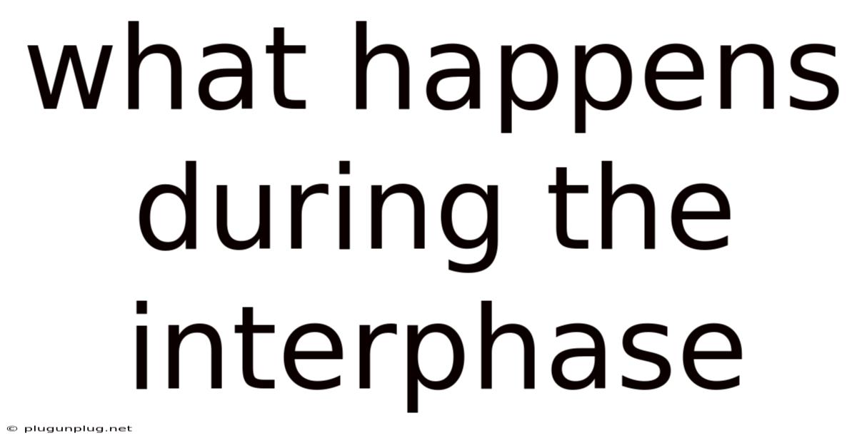 What Happens During The Interphase