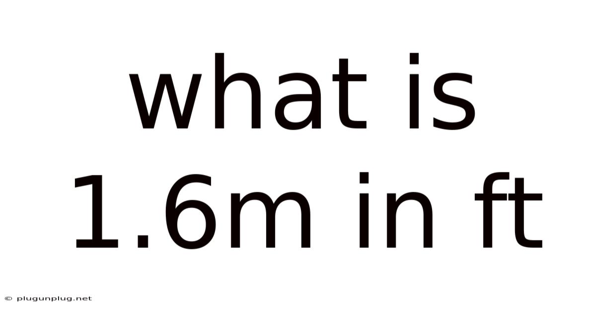 What Is 1.6m In Ft