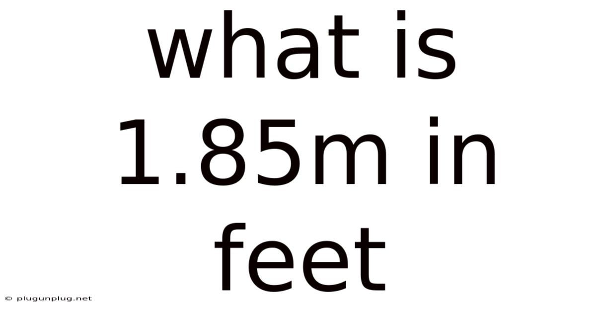 What Is 1.85m In Feet
