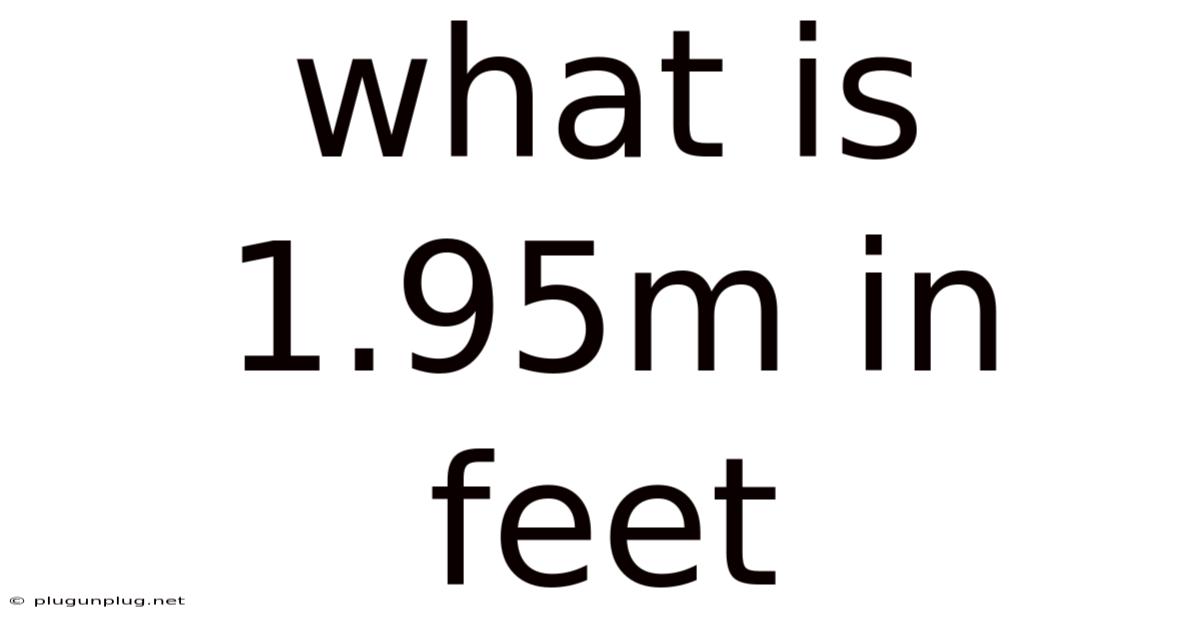 What Is 1.95m In Feet