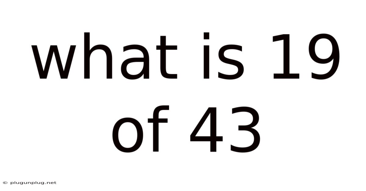 What Is 19 Of 43