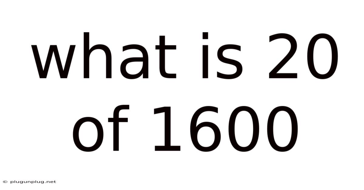 What Is 20 Of 1600