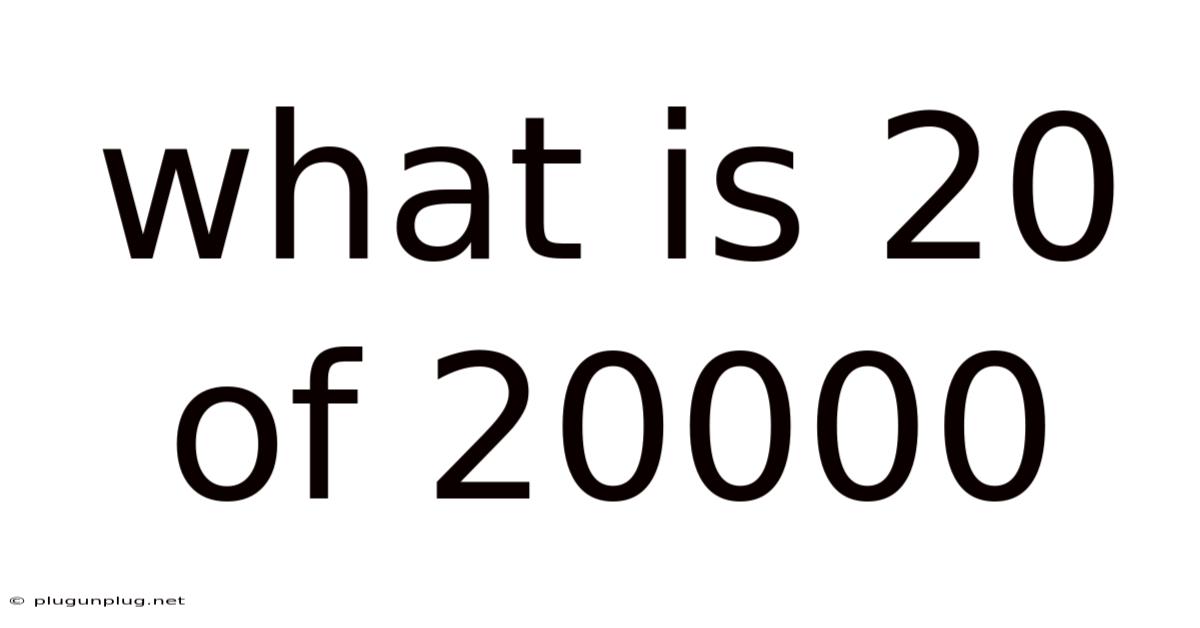 What Is 20 Of 20000