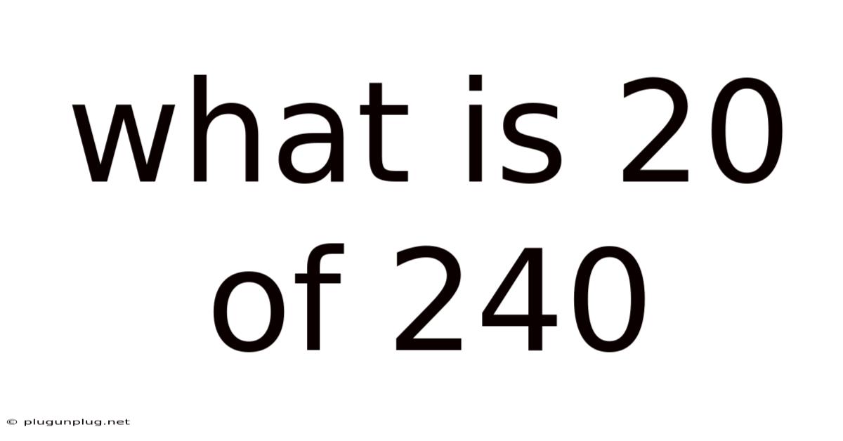 What Is 20 Of 240