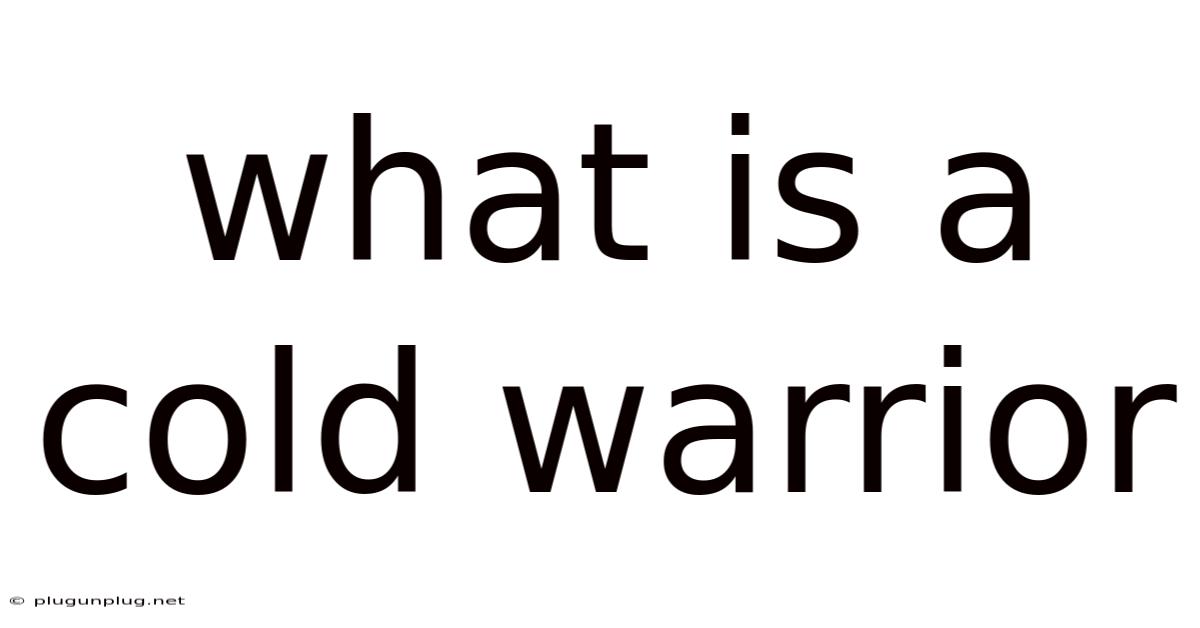 What Is A Cold Warrior