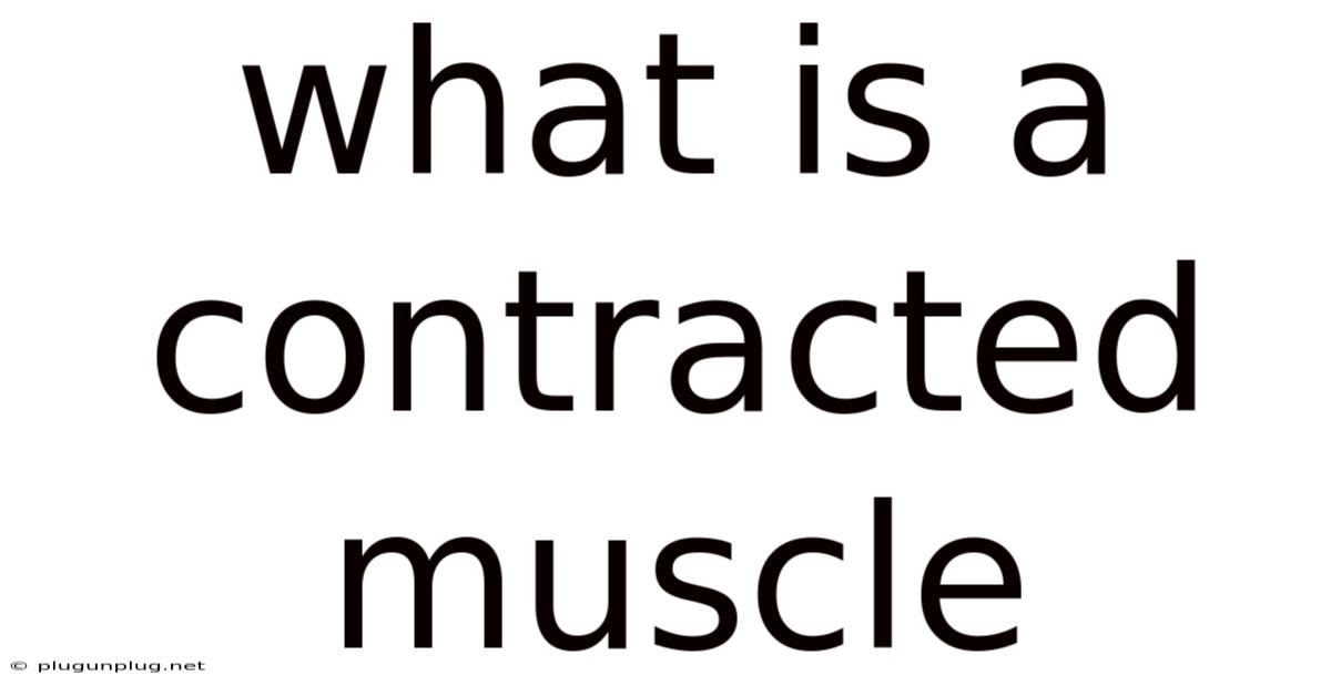 What Is A Contracted Muscle