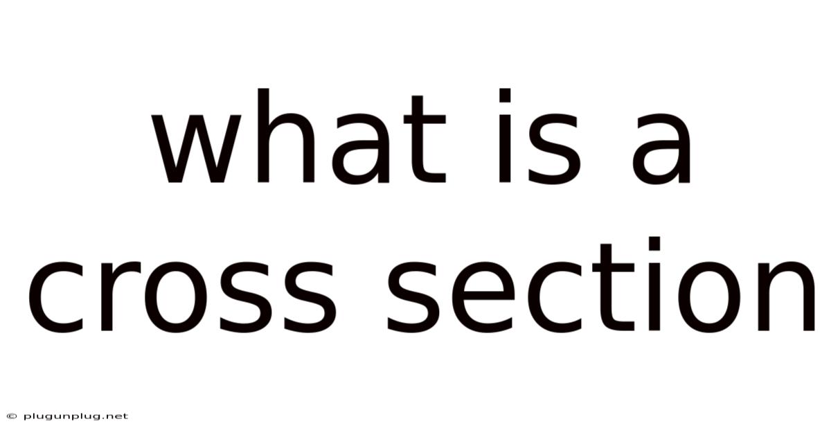 What Is A Cross Section