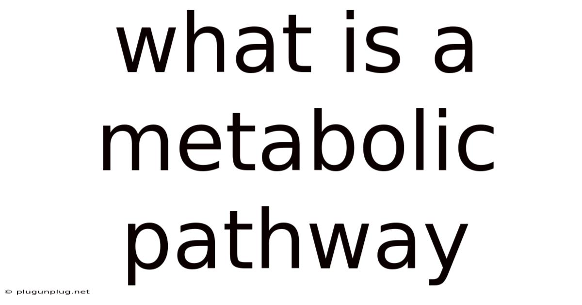 What Is A Metabolic Pathway