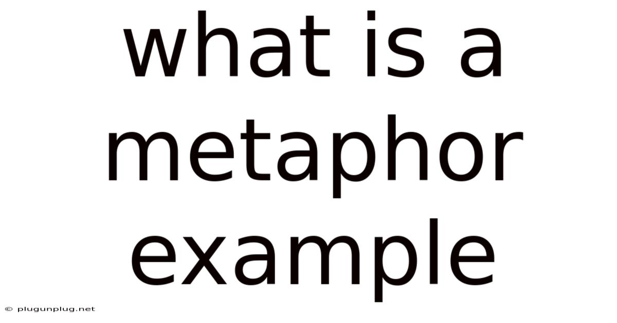 What Is A Metaphor Example