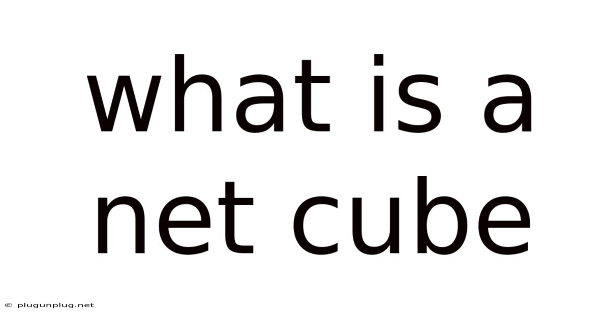What Is A Net Cube