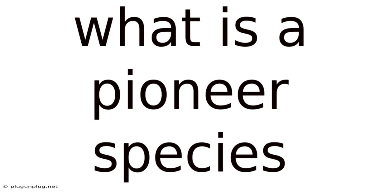 What Is A Pioneer Species