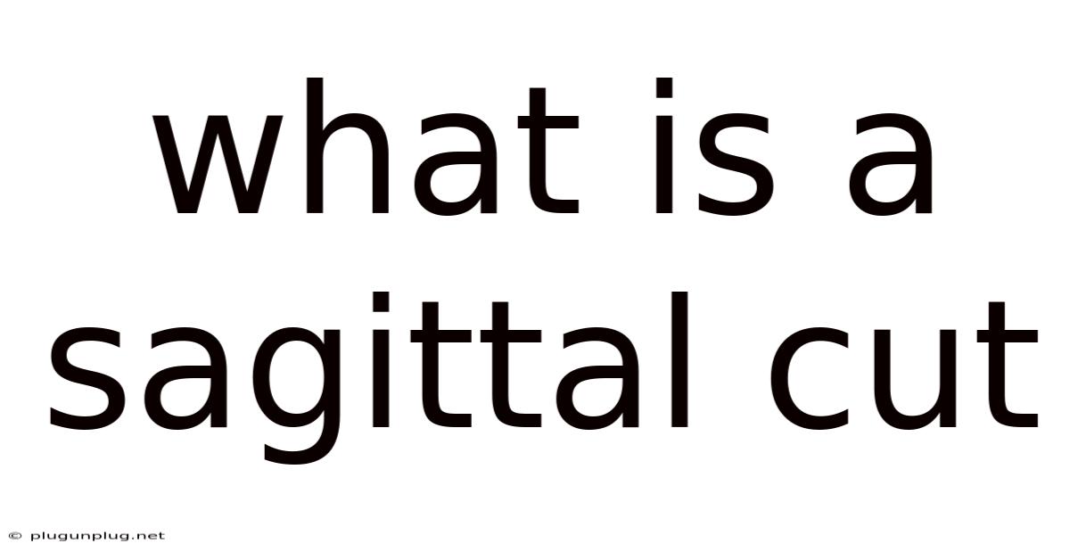 What Is A Sagittal Cut