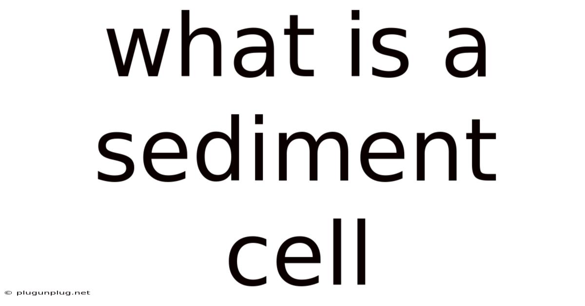 What Is A Sediment Cell