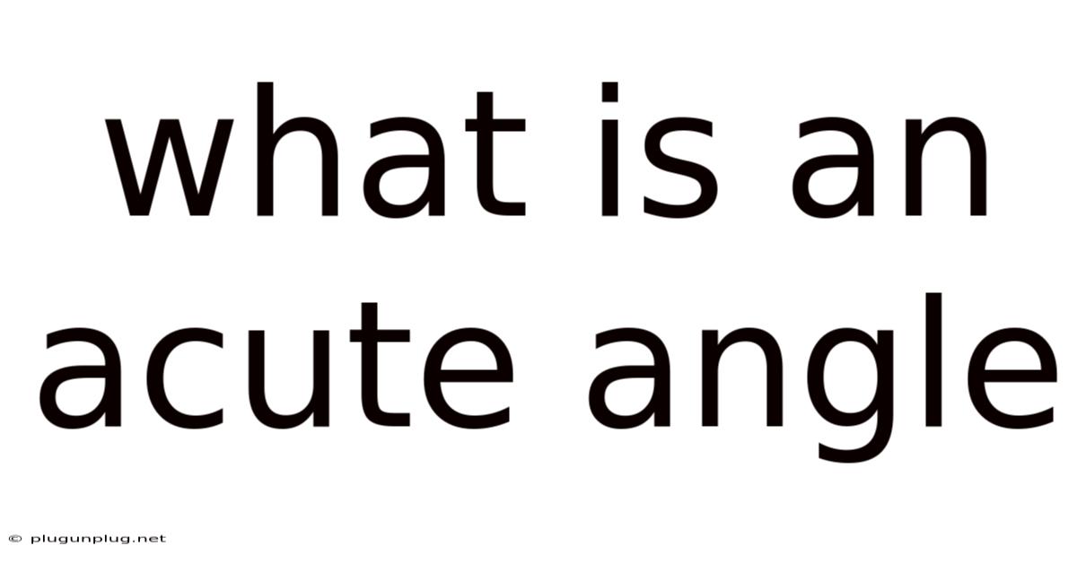What Is An Acute Angle