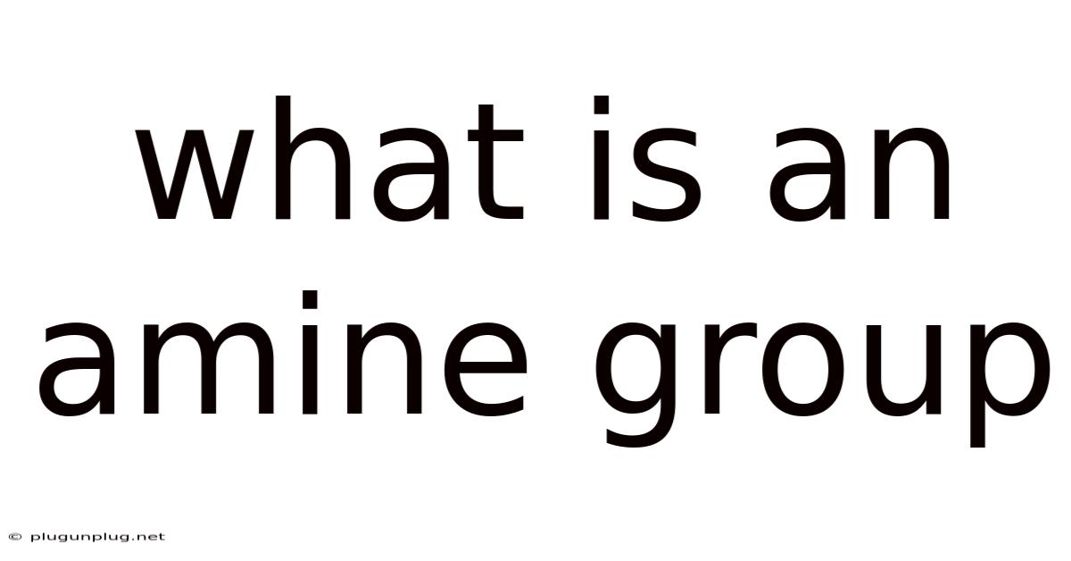 What Is An Amine Group