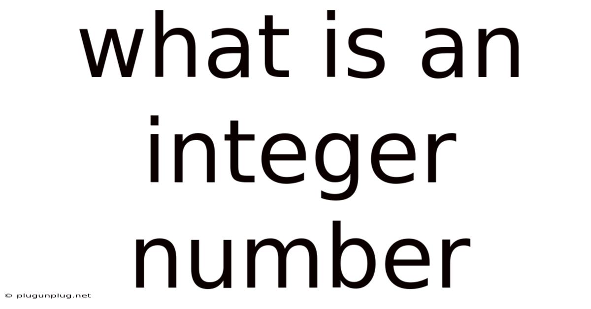What Is An Integer Number
