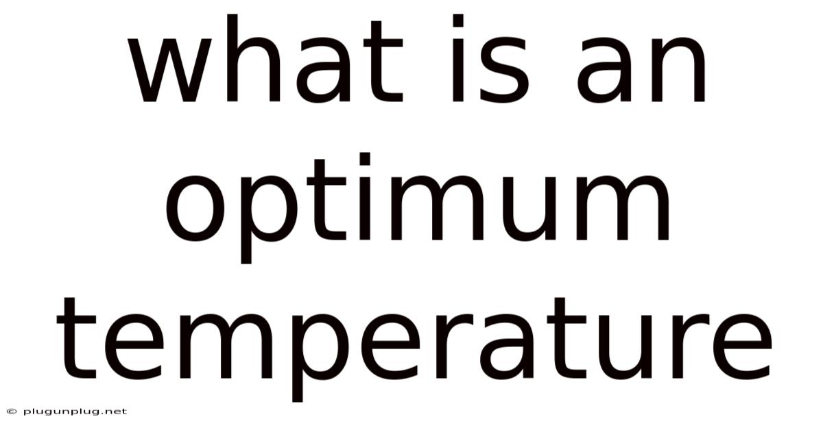 What Is An Optimum Temperature