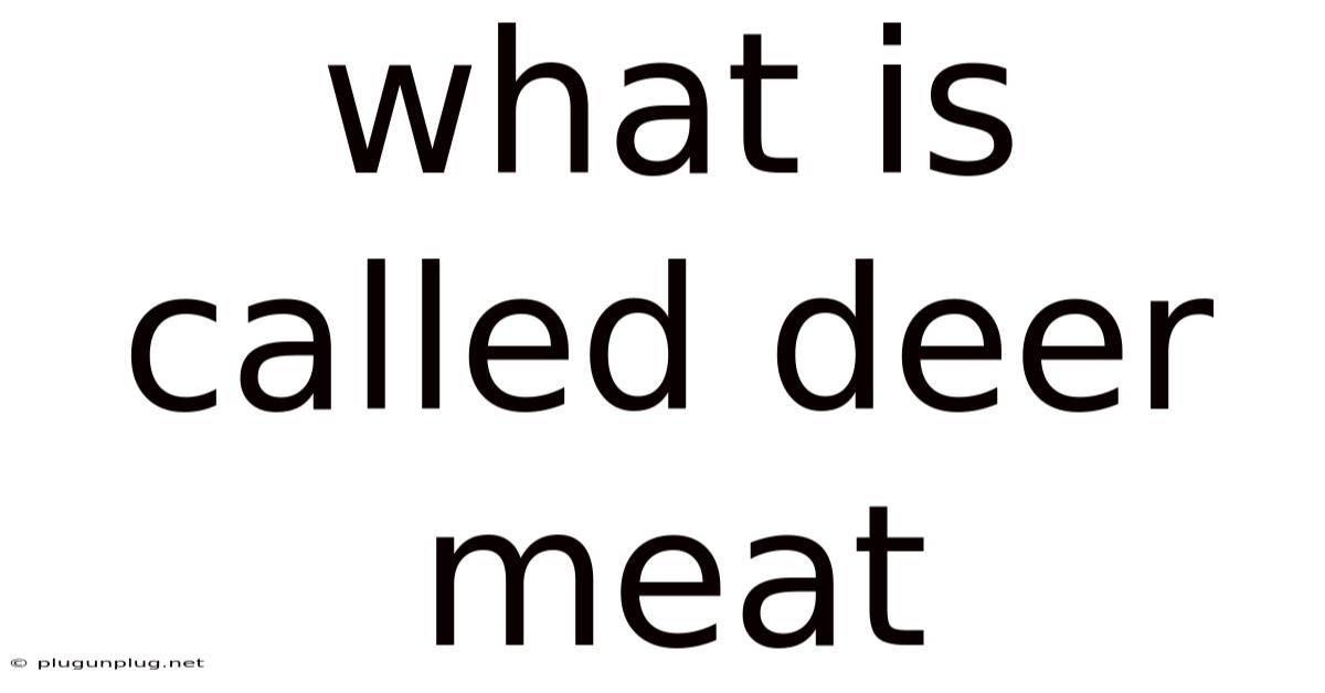 What Is Called Deer Meat
