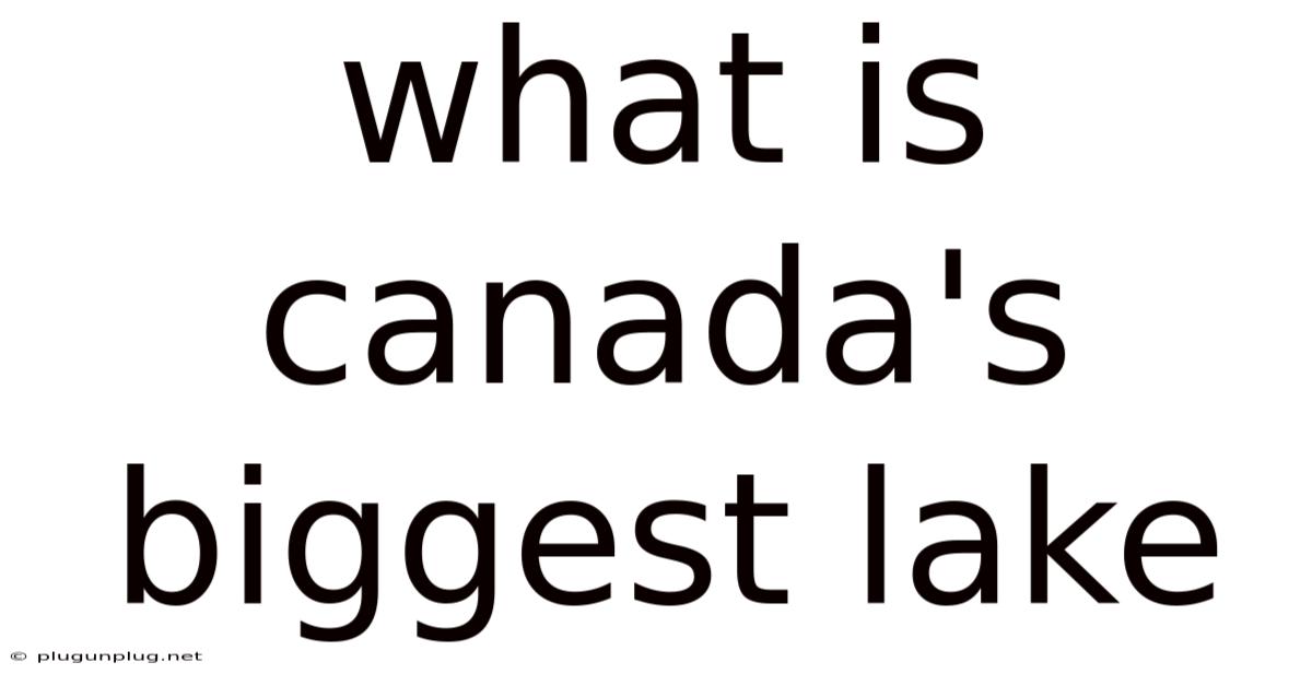 What Is Canada's Biggest Lake