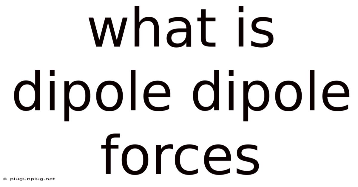 What Is Dipole Dipole Forces
