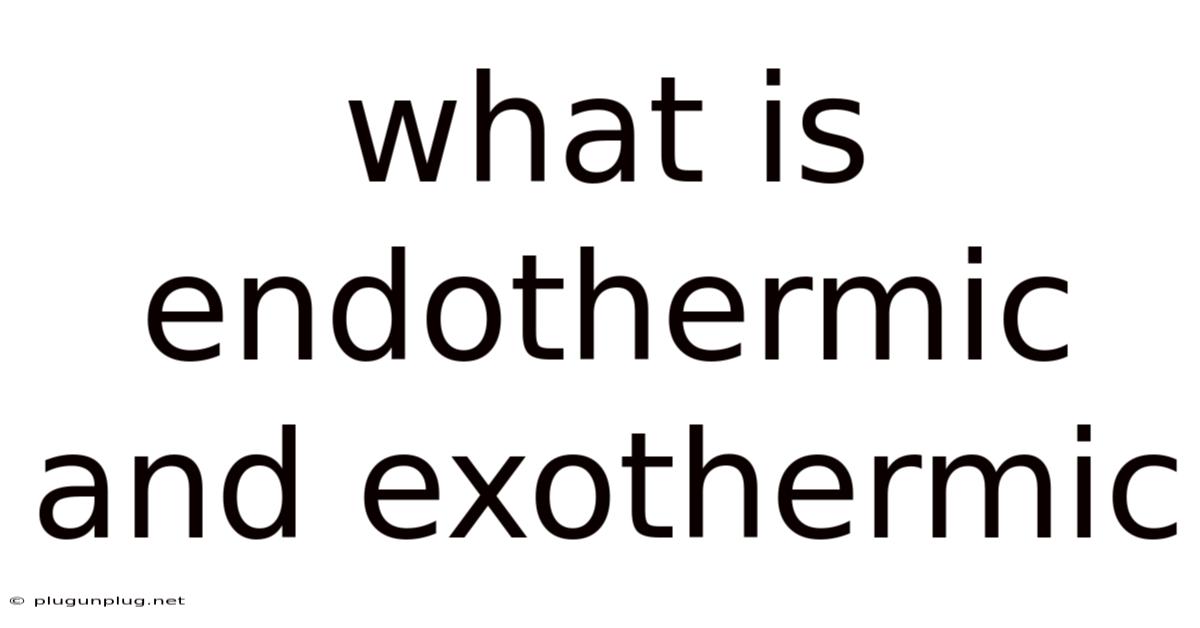 What Is Endothermic And Exothermic