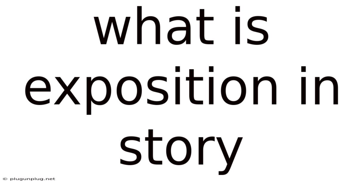 What Is Exposition In Story