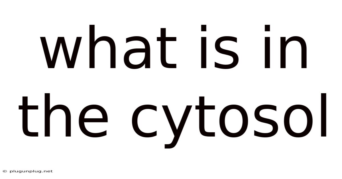 What Is In The Cytosol
