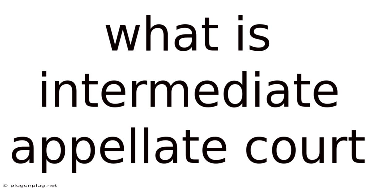 What Is Intermediate Appellate Court