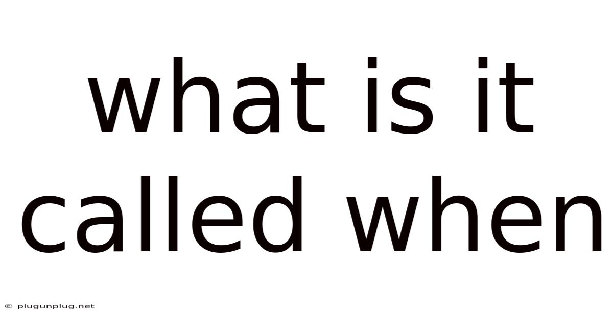 What Is It Called When